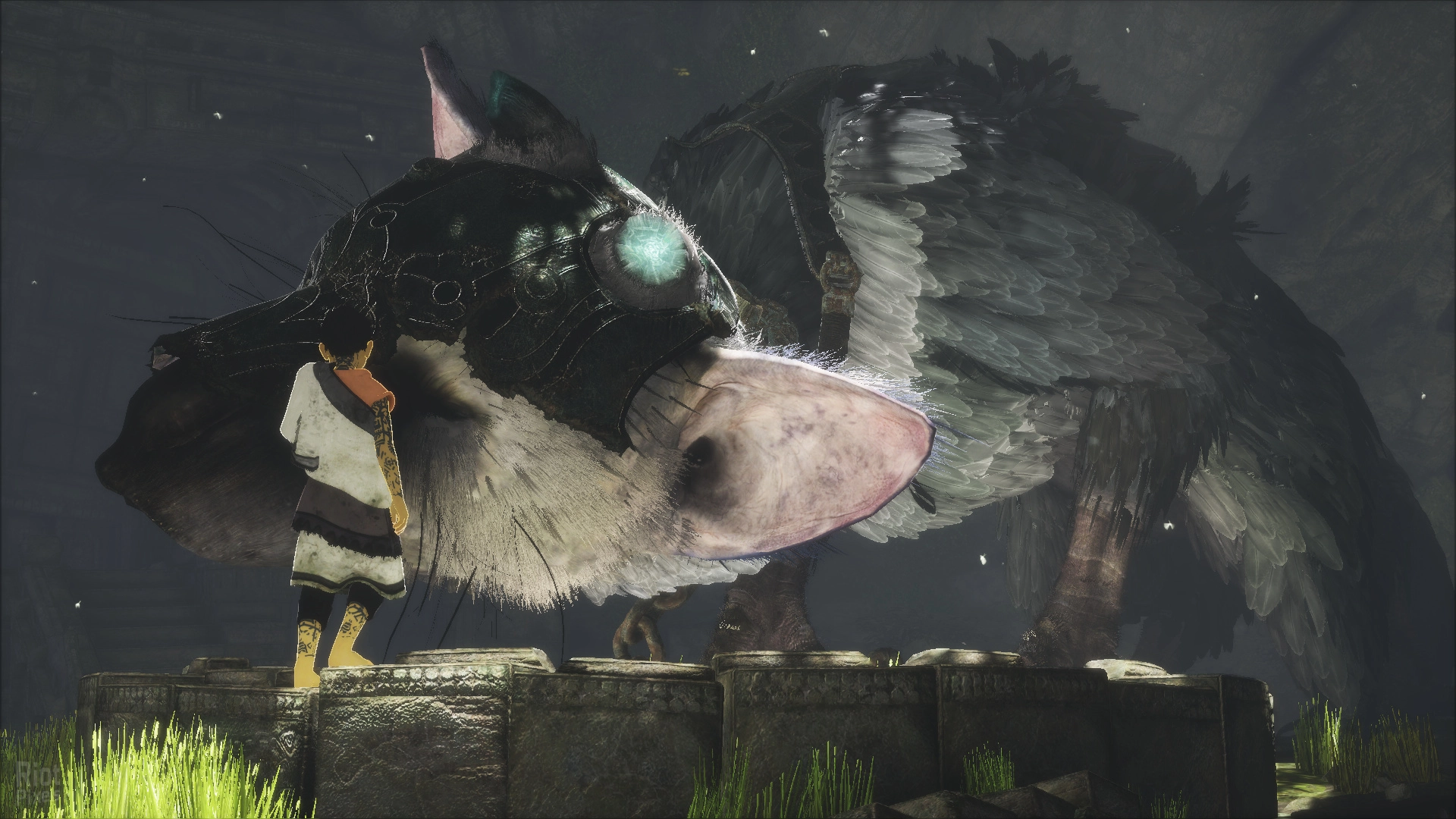 The Last Guardian Trico