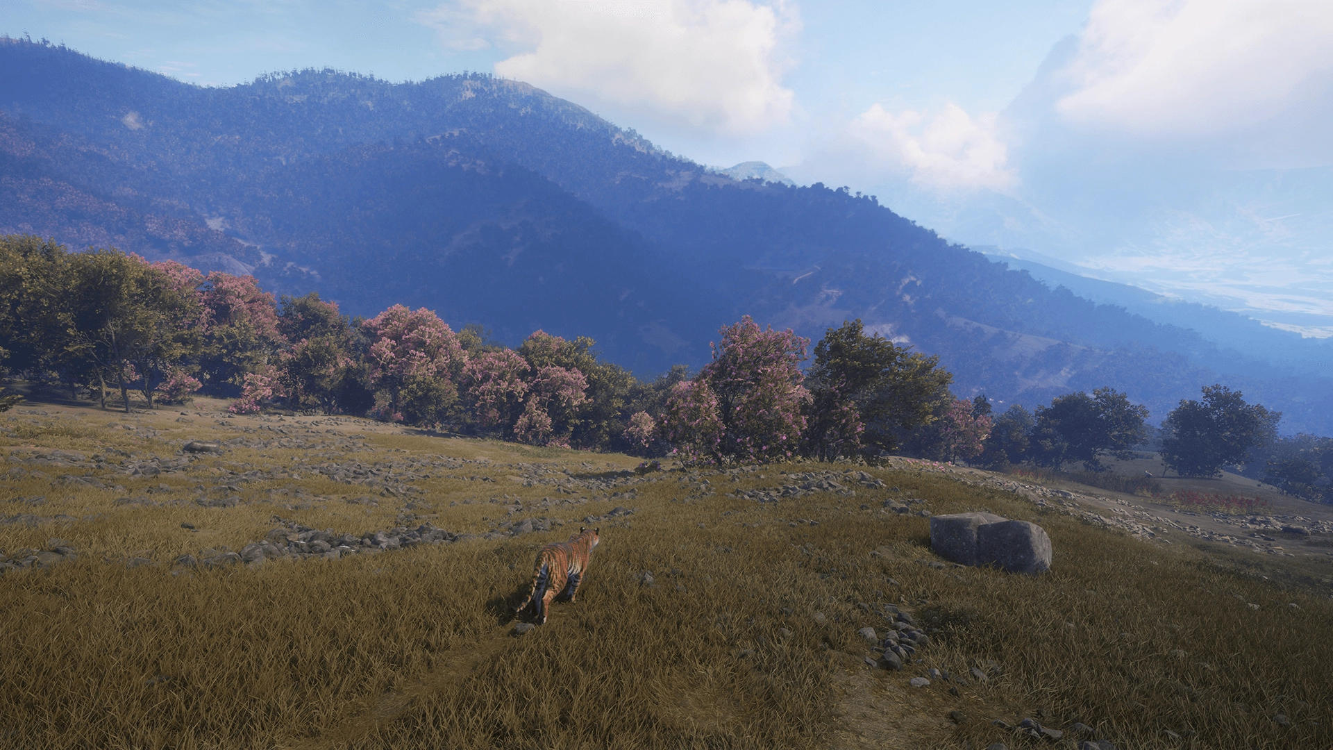 theHunter: Call of the Wild™ - Sundarpatan Nepal Hunting Reserve  for sale in Egypt from Games2Egypt