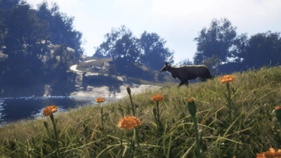 theHunter: Call of the Wild™ - Sundarpatan Nepal Hunting Reserve  for sale in Egypt from Games2Egypt