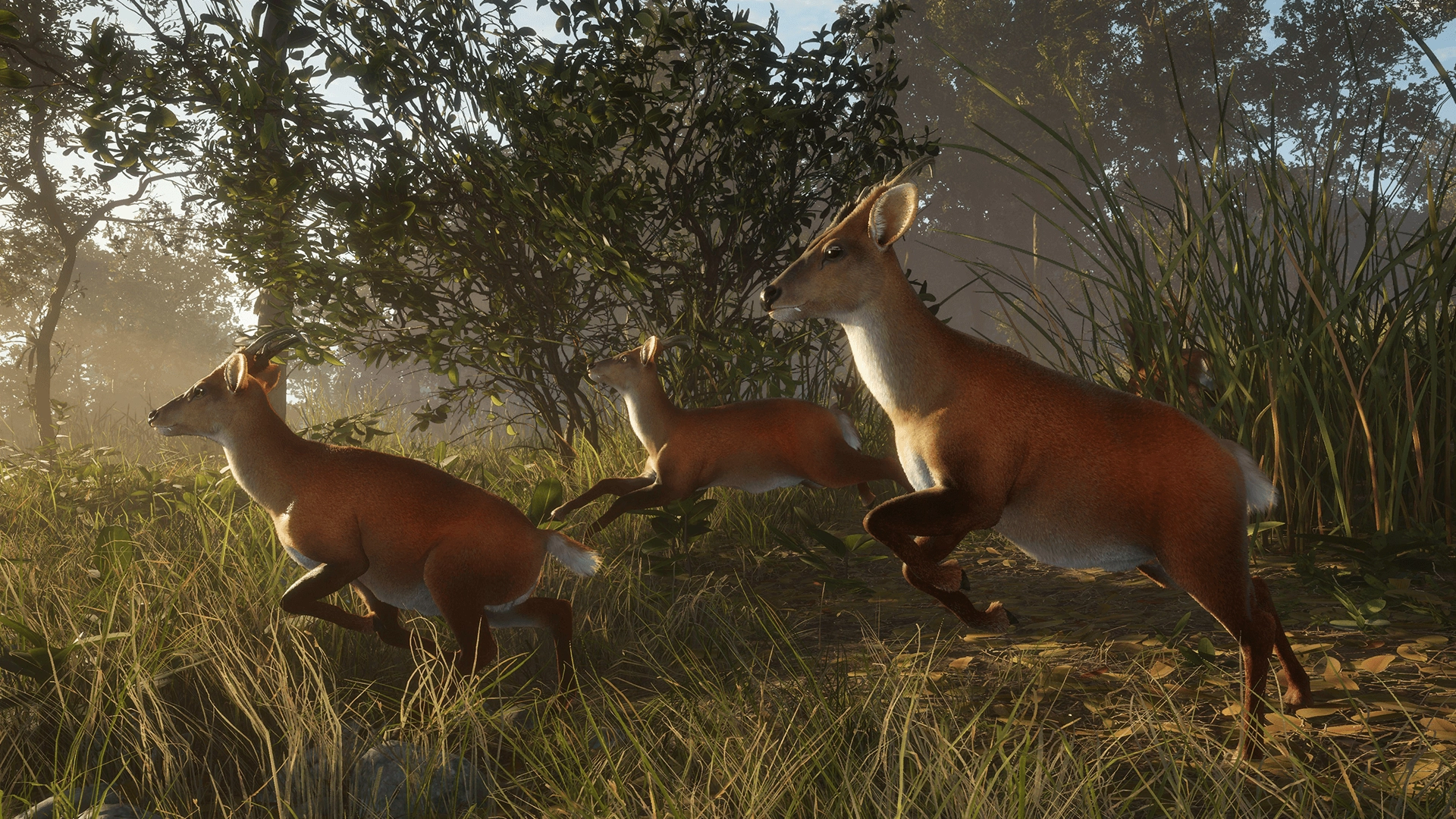 theHunter: Call of the Wild™ - Sundarpatan Nepal Hunting Reserve  for sale in Egypt from Games2Egypt