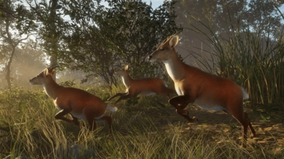 theHunter: Call of the Wild™ - Sundarpatan Nepal Hunting Reserve  for sale in Egypt from Games2Egypt