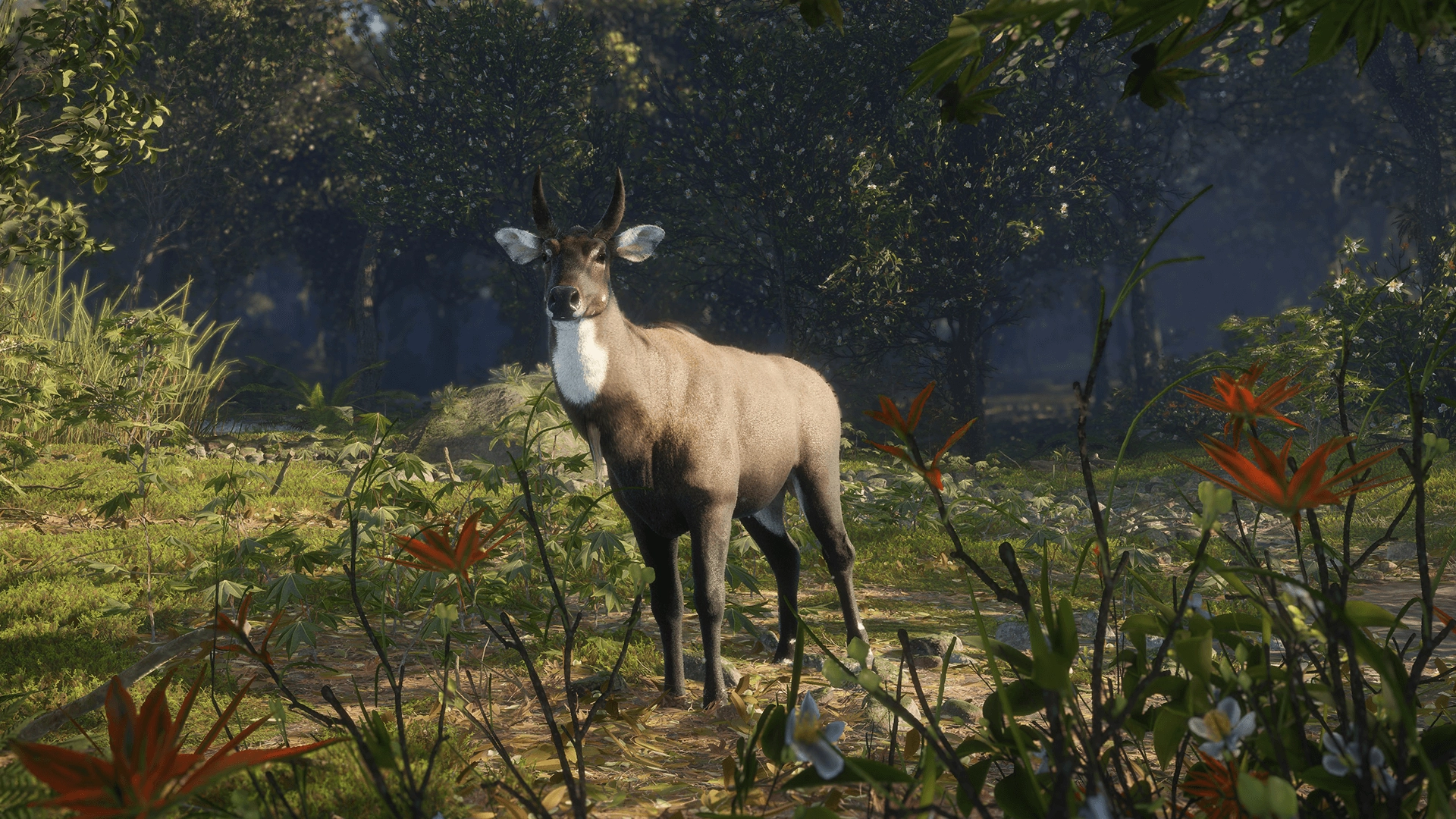 theHunter: Call of the Wild™ - Sundarpatan Nepal Hunting Reserve  for sale in Egypt from Games2Egypt