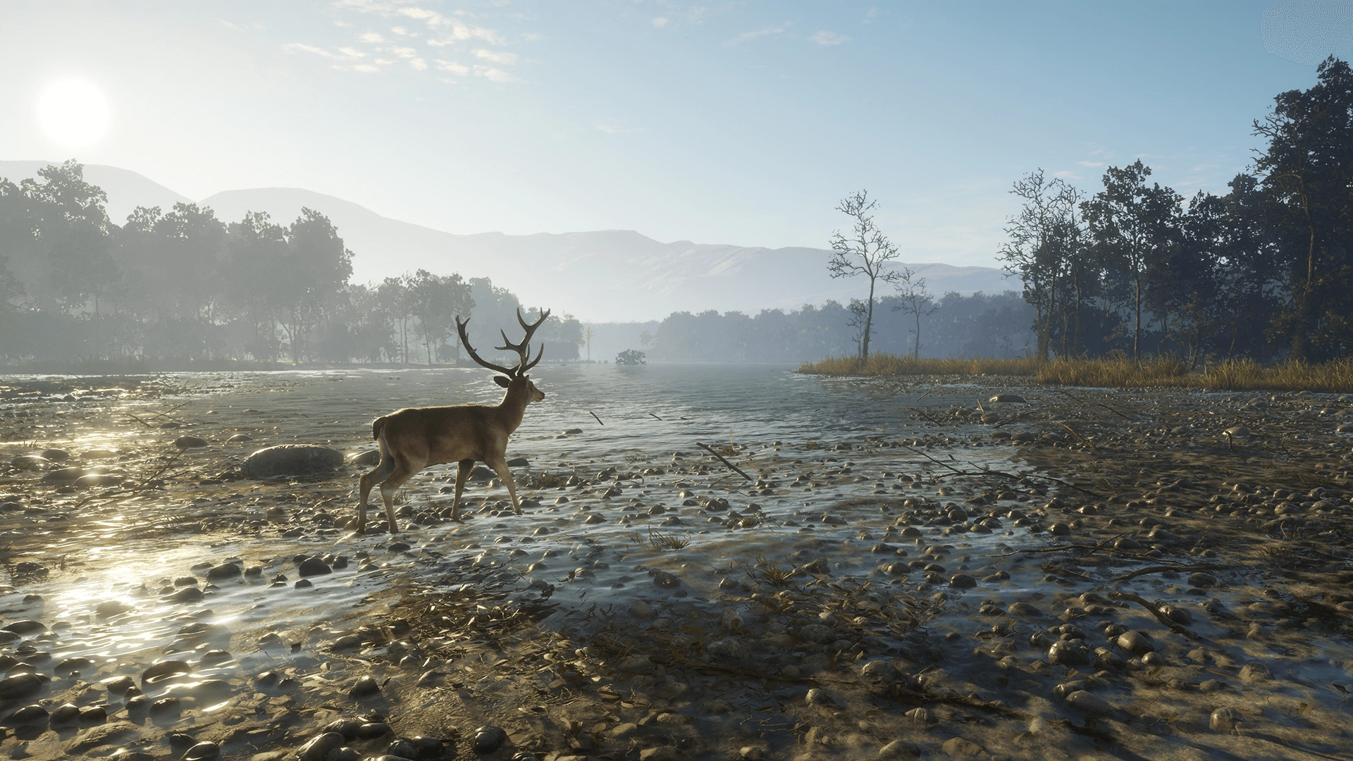 theHunter: Call of the Wild™ - Sundarpatan Nepal Hunting Reserve  for sale in Egypt from Games2Egypt