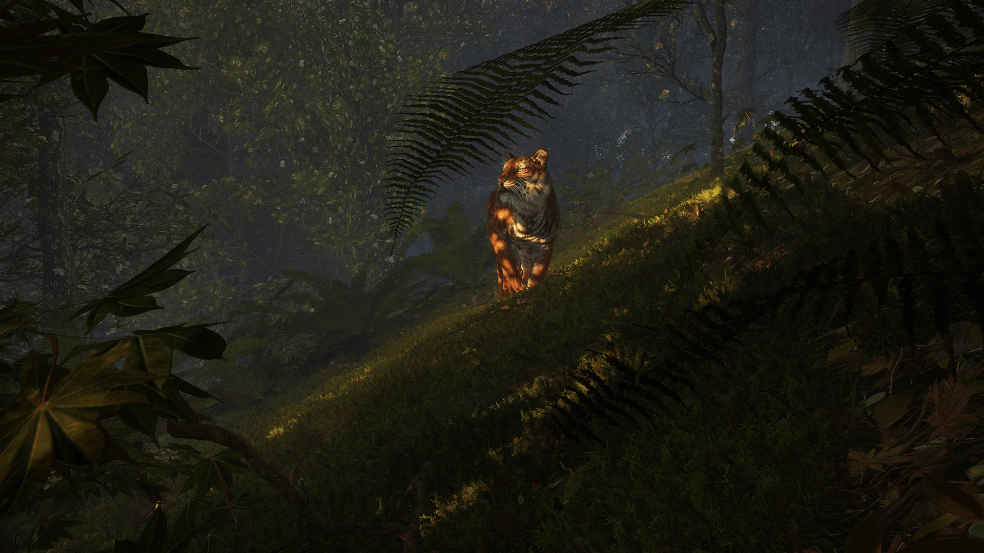 theHunter: Call of the Wild™ - Sundarpatan Nepal Hunting Reserve  for sale in Egypt from Games2Egypt