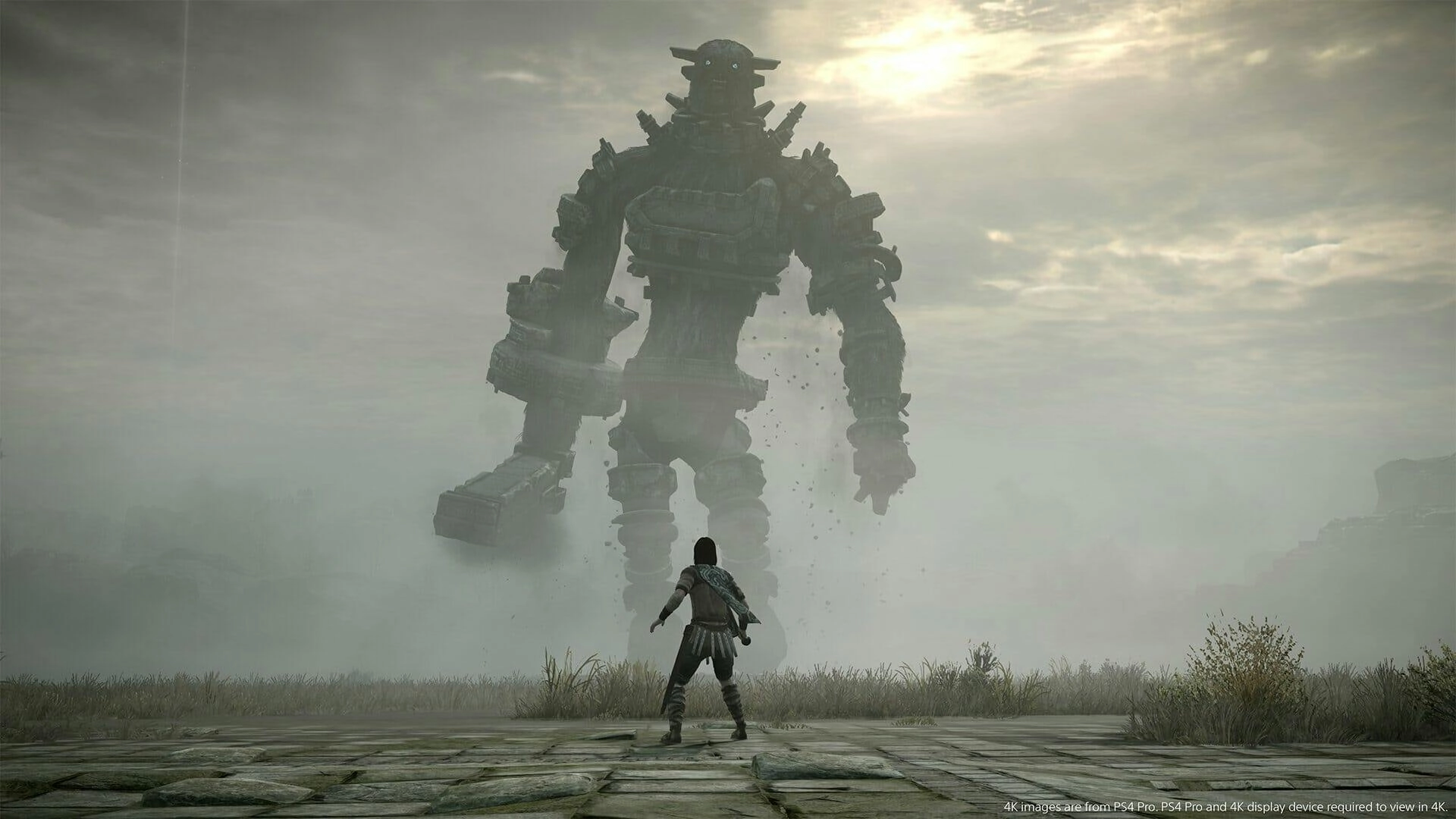 Shadow of the Colossus - Special Edition - PS4  for sale in Egypt from Games2Egypt