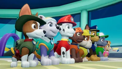 Paw Patrol Bundle - PS4  for sale in Egypt from Games2Egypt