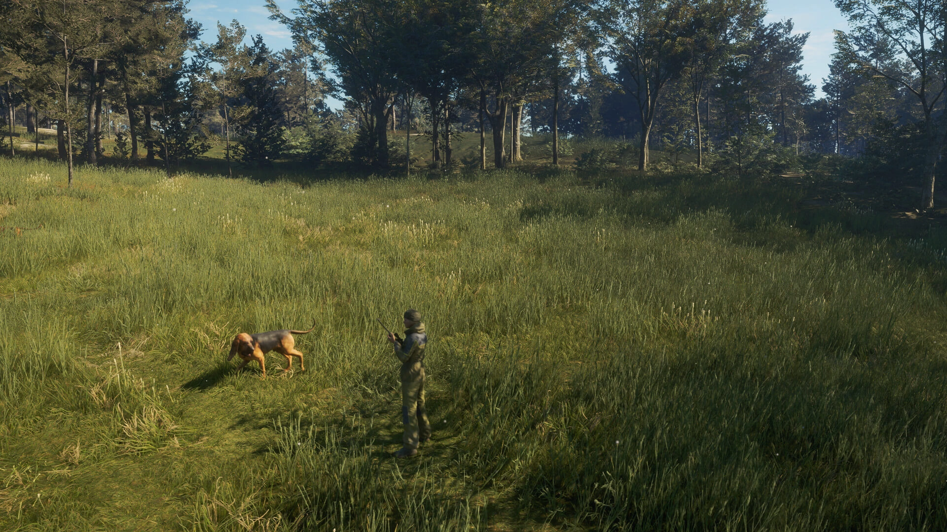 theHunter: Call of the Wild™ - Bloodhound  for sale in Egypt from Games2Egypt