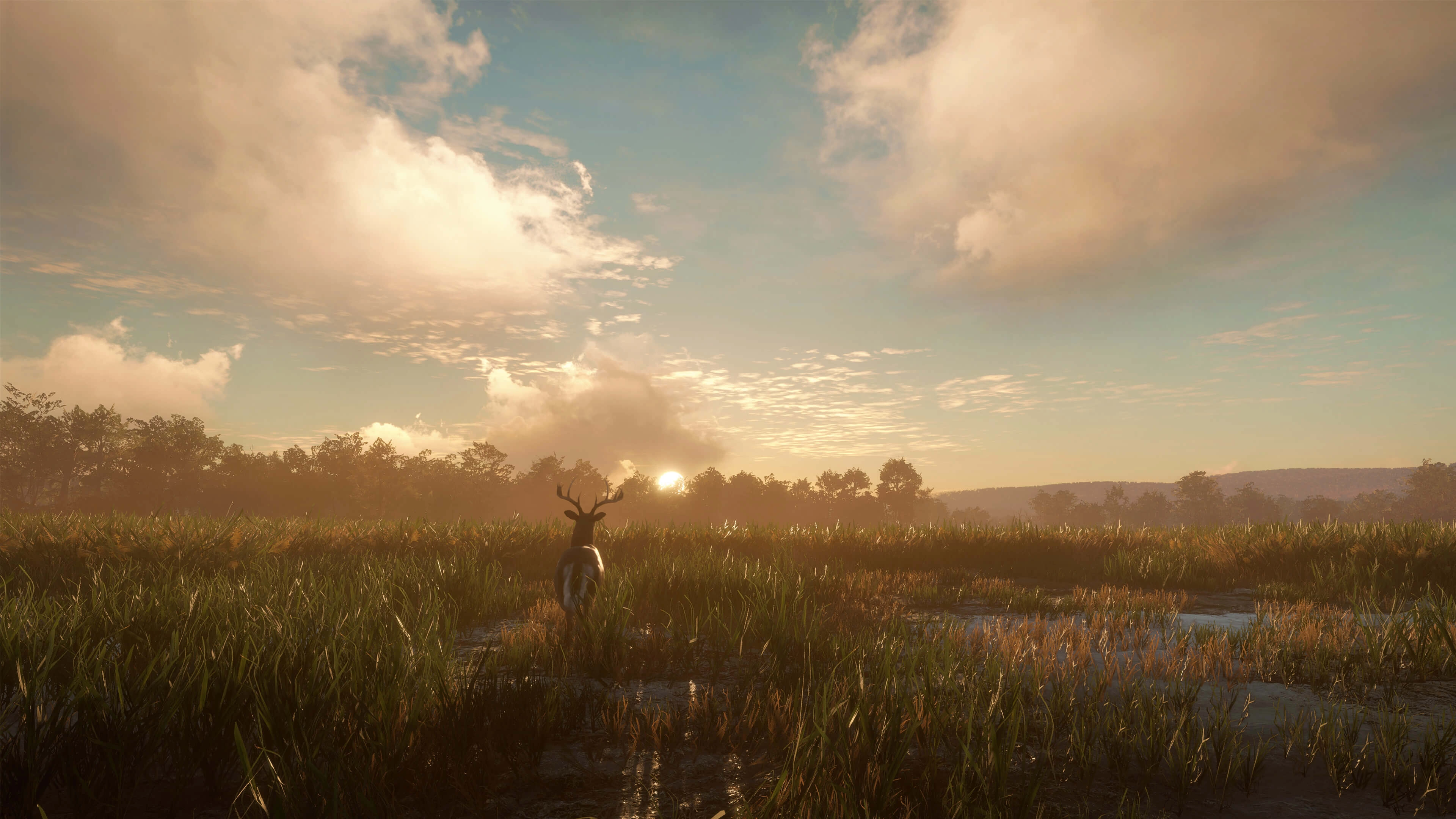 theHunter: Call of the Wild™ - Mississippi Acres Preserve  for sale in Egypt from Games2Egypt