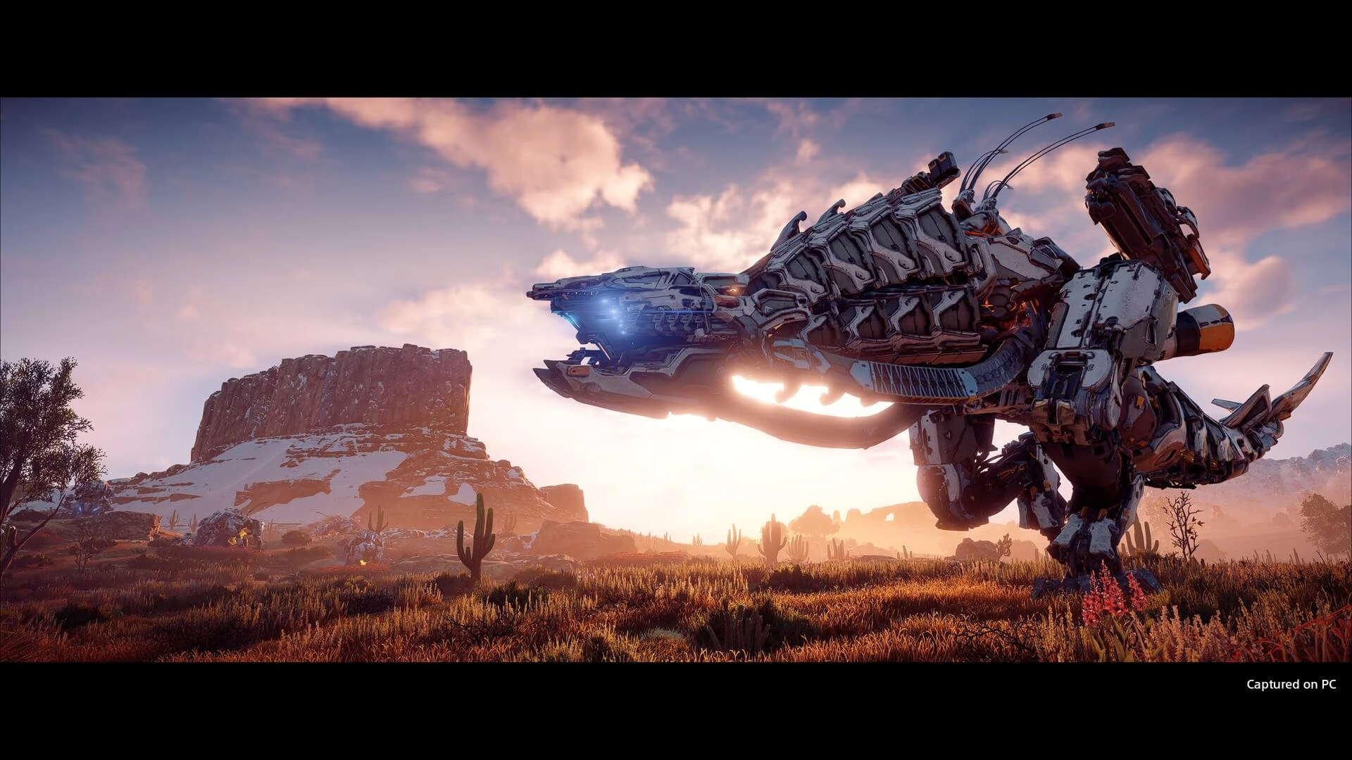 Horizon Zero Dawn™ Complete Edition  للبيع في مصر من خلال Games2Egypt