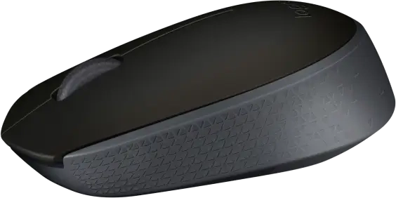 Logitech Wireless Gaming Mouse M171 - Black  for sale in Egypt from Games2Egypt