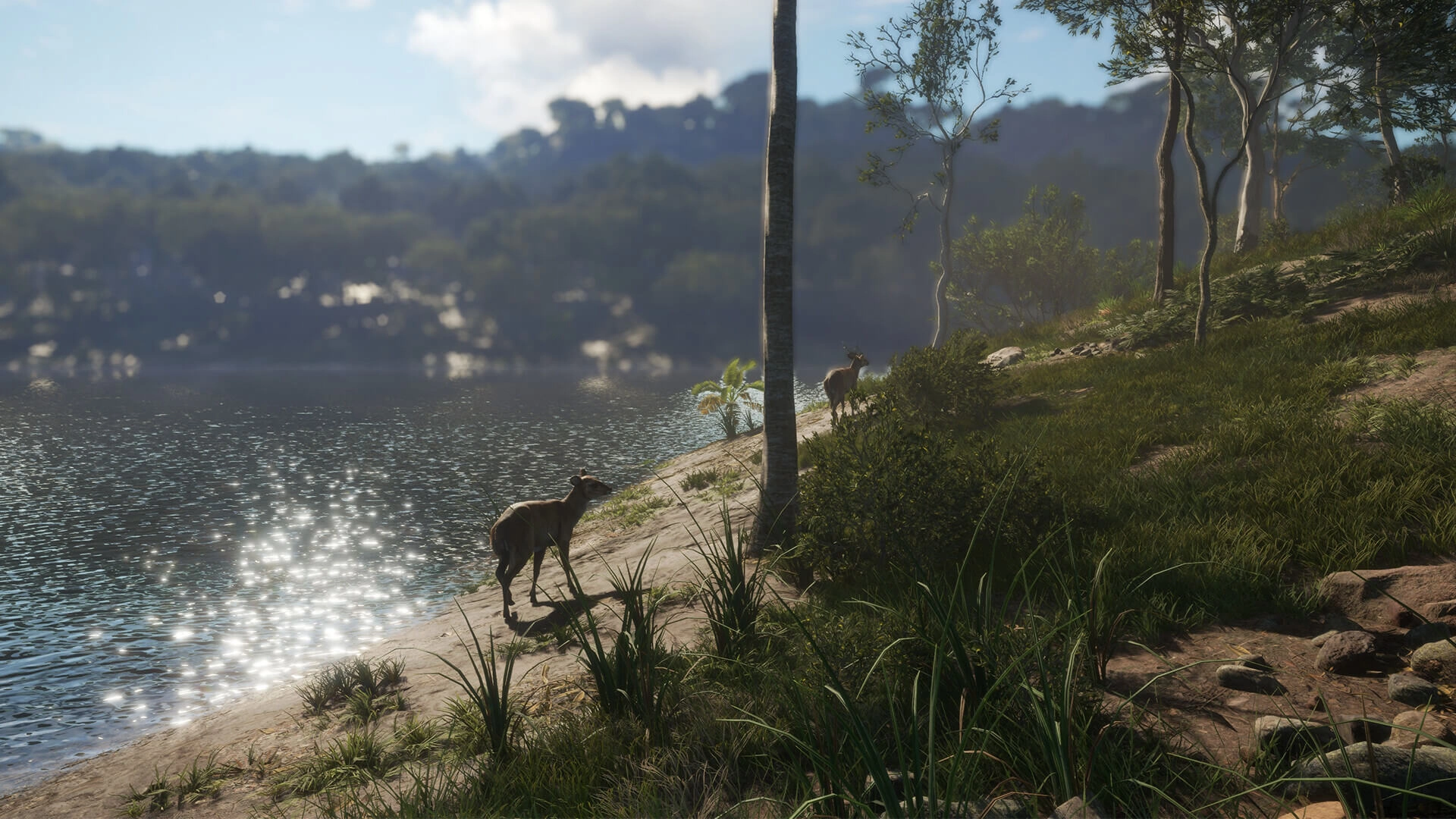 theHunter: Call of the Wild™ - Emerald Coast Australia  for sale in Egypt from Games2Egypt