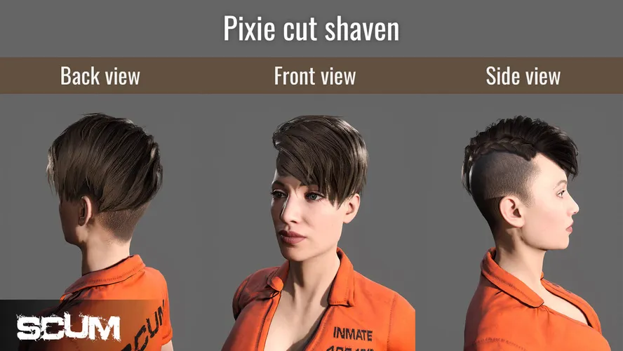 SCUM Female Hair Pack