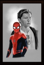 Spider Man 3D Movies Posters (90101)