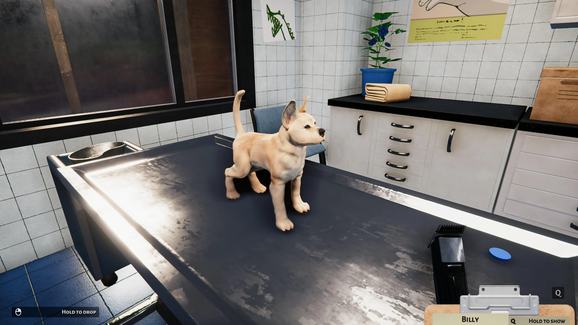 Animal Shelter - Puppies & Kittens DLC  for sale in Egypt from Games2Egypt