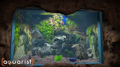 Aquarist  for sale in Egypt from Games2Egypt