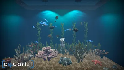 Aquarist  for sale in Egypt from Games2Egypt