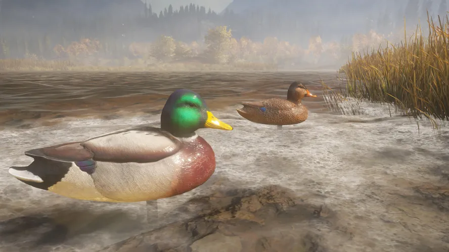 theHunter: Call of the Wild™ - Duck and Cover Pack