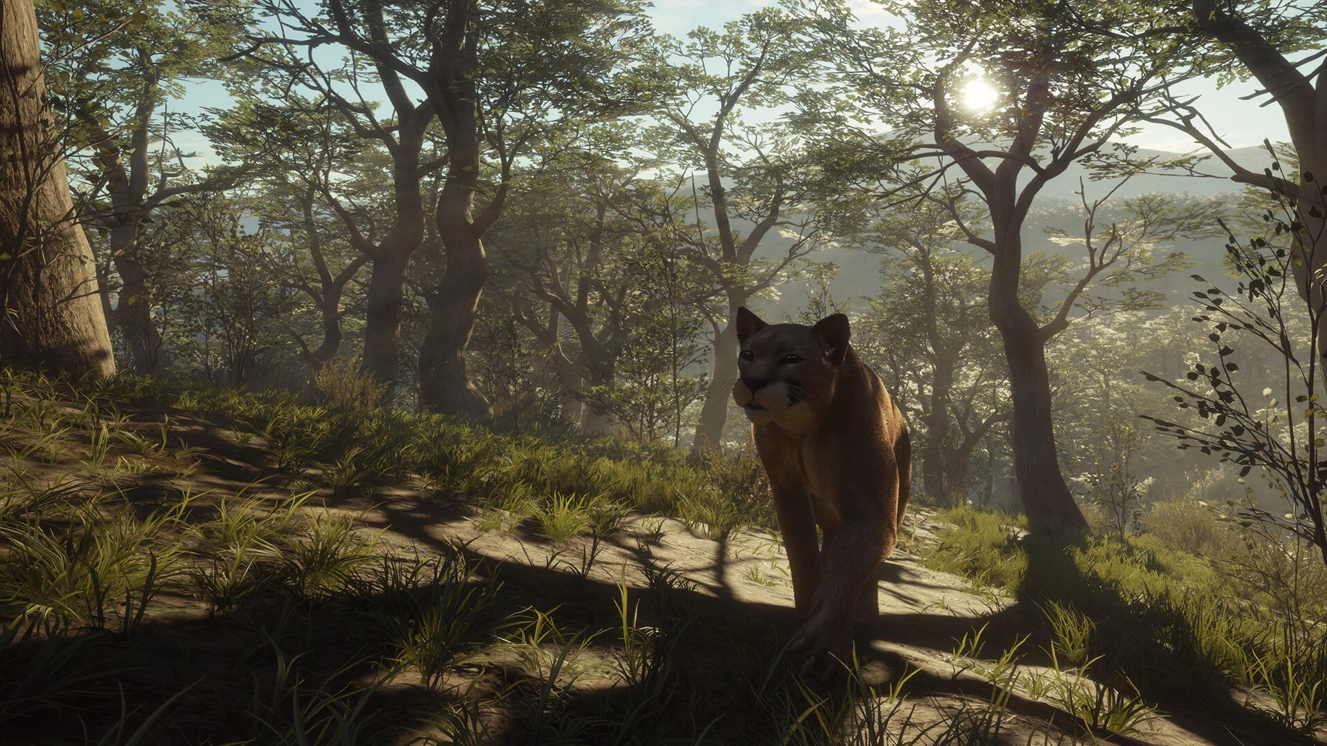 theHunter: Call of the Wild™ - Parque Fernando  للبيع في مصر من خلال Games2Egypt