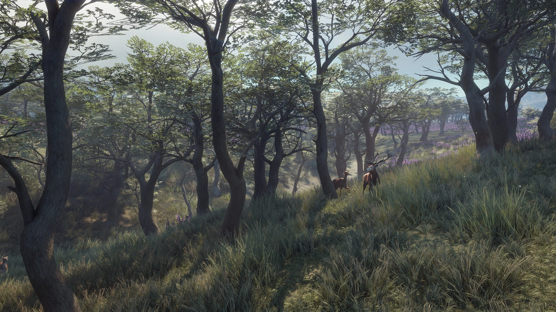 theHunter: Call of the Wild™ - Parque Fernando  for sale in Egypt from Games2Egypt