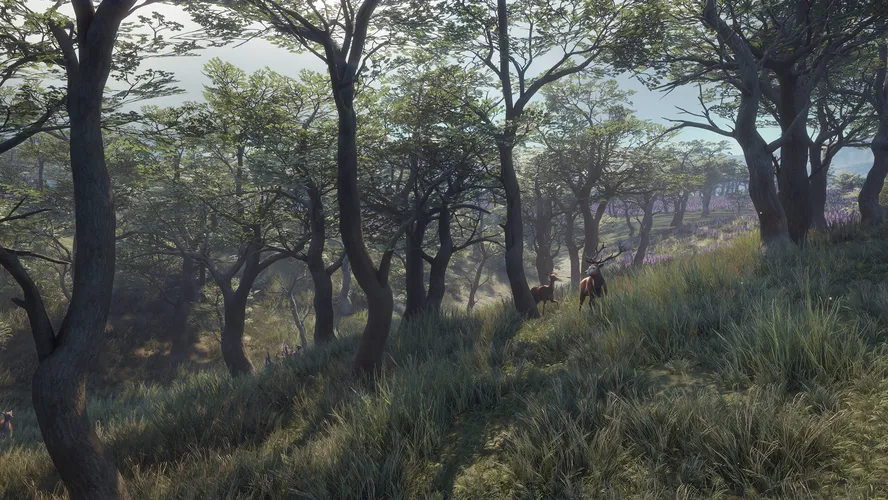 theHunter: Call of the Wild™ - Parque Fernando  للبيع في مصر من خلال Games2Egypt